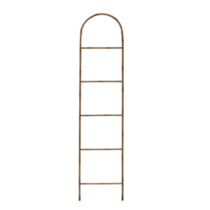 Metal/Bamboo Ladder