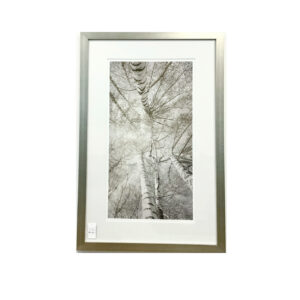 Taupe Canopy I