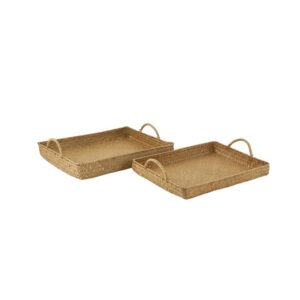Rectangle Tray with Handles (set of 2)