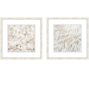 White Coral I and II