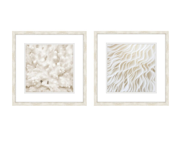 White Coral I and II