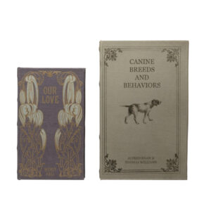 Canvas Book Storage (set of 2)