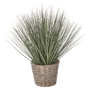 Chelsea Potted Grass Green