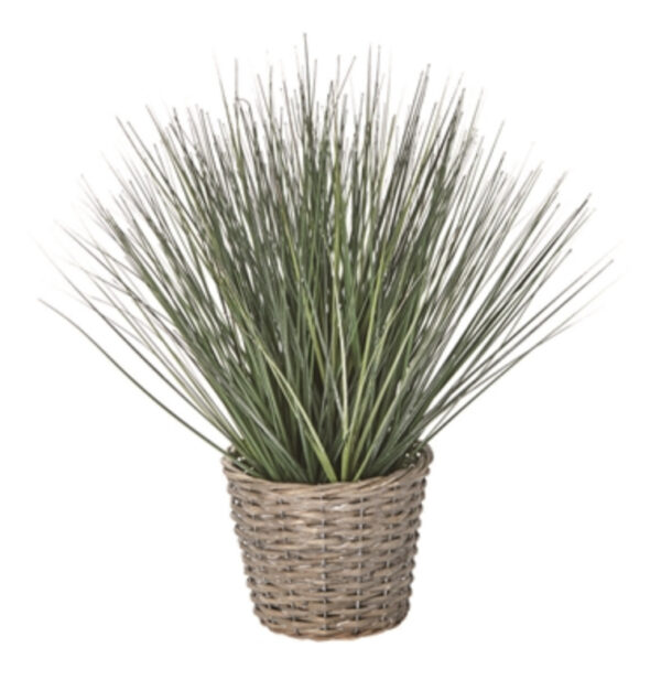 Chelsea Potted Grass Green