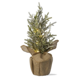 LED Pine Tree with Burlap Pot