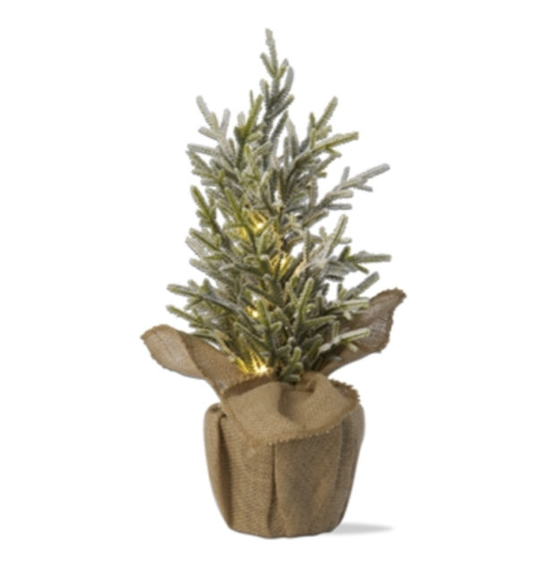 LED Pine Tree with Burlap Pot