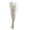 Dried Natural Bunch - Image 2