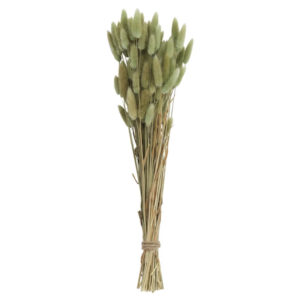 Dried Natural Bunch
