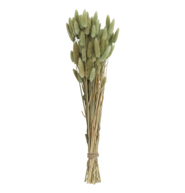 Dried Natural Bunch