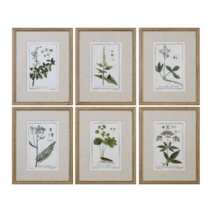 Green Floral Botanical Study Framed Prints (set of 6)
