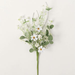 Daisy Eucalyptas Pick