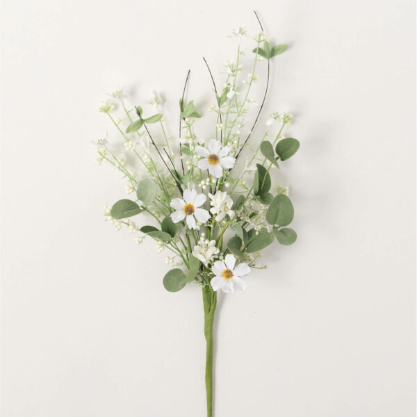Daisy Eucalyptas Pick
