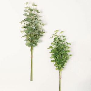 Eucalyptus Bundle